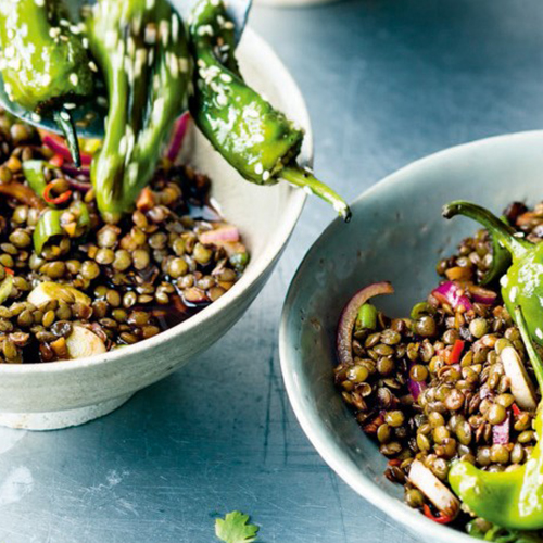 sandras-soulfood_puy-linsensalat02